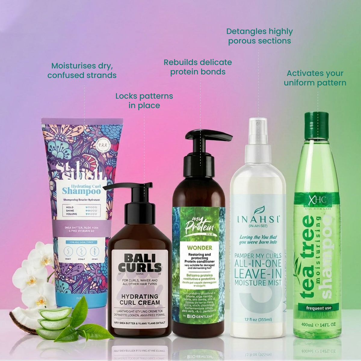 CurlyNest Starter Kit for Wavy Curly Hair 2C-3A - Texture Alignment