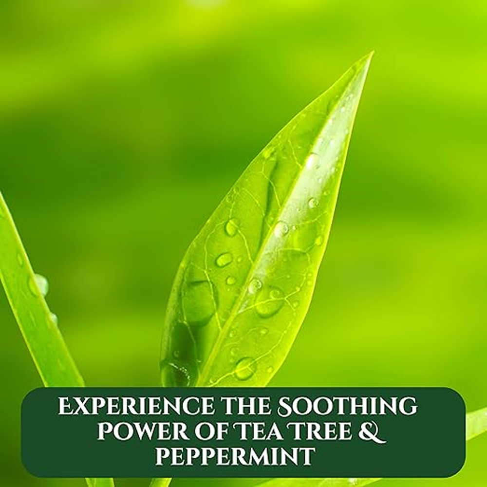 XHC Tea Tree Clarifying Shampoo Final Wash 400ml